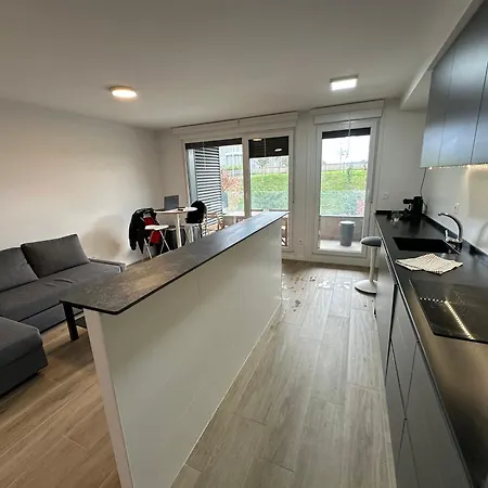 Con Terraza Y Parking, Temporada, Minimo Un Mes Apartamento Pasai San Pedro